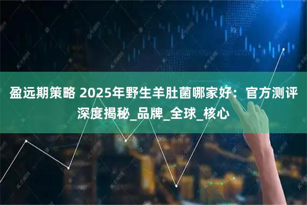 盈远期策略 2025年野生羊肚菌哪家好：官方测评深度揭秘_品牌_全球_核心