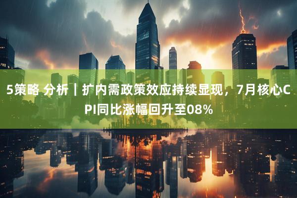 5策略 分析｜扩内需政策效应持续显现，7月核心CPI同比涨幅回升至08%