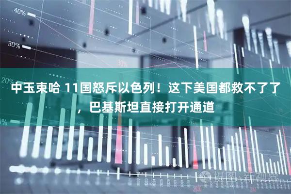 中玉束哈 11国怒斥以色列！这下美国都救不了了，巴基斯坦直接打开通道