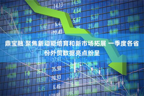 鼎宝融 聚焦新动能培育和新市场拓展 一季度各省份外贸数据亮点纷呈