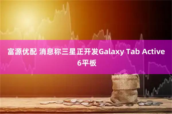 富源优配 消息称三星正开发Galaxy Tab Active 6平板