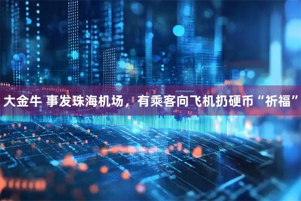 大金牛 事发珠海机场，有乘客向飞机扔硬币“祈福”